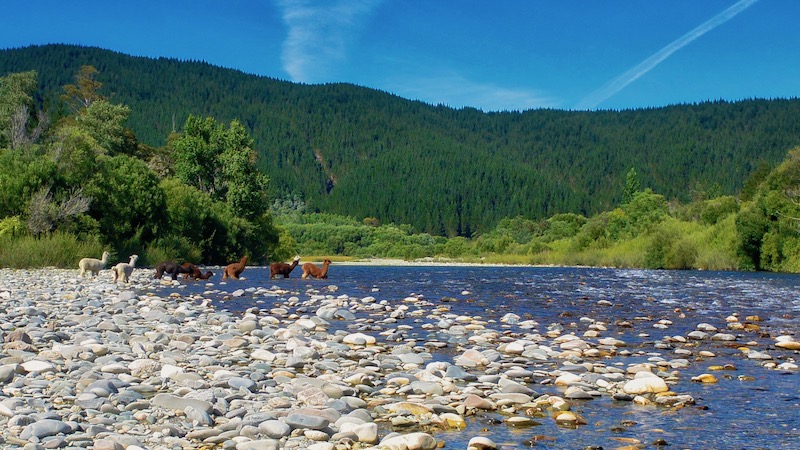 Mutoeka River 181227 mutoeka river lama