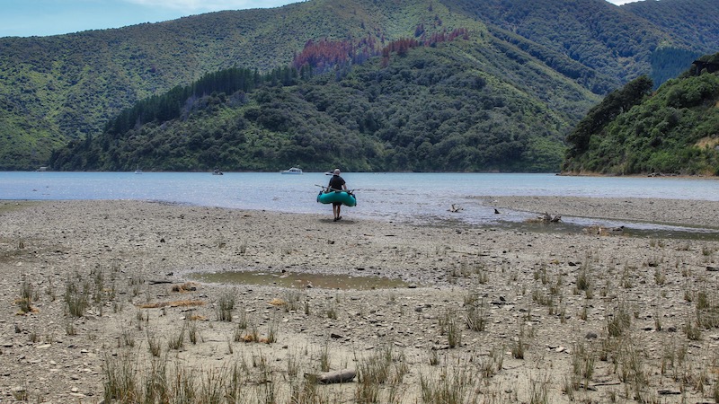 181230 picton lowtides