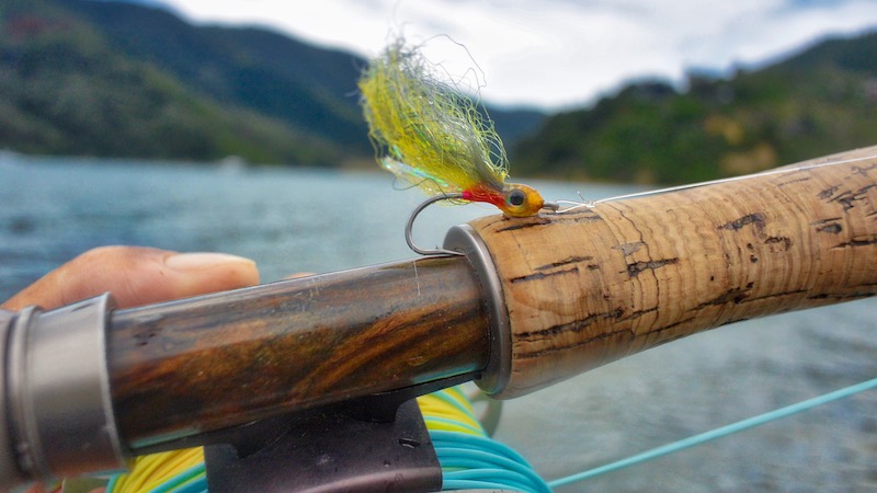 181230 picton streamer