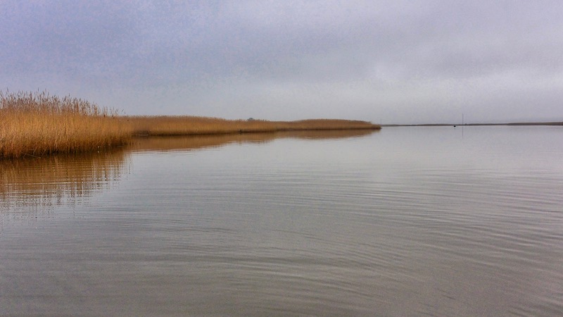 Dronningborg Bredning 190217 bredningen gray day