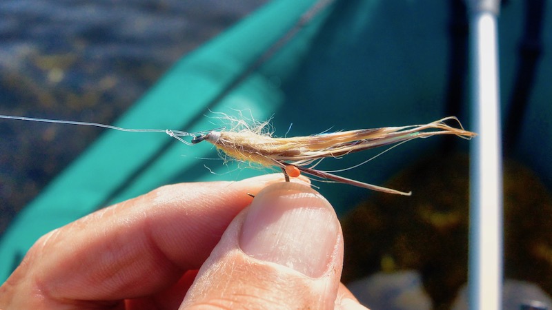 190326 hegedal brakvandsrejen