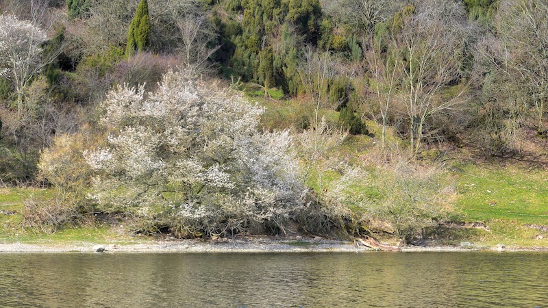 190326 hegedal spring