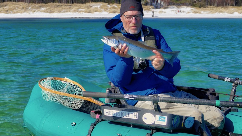 190331 bornholm hl trout