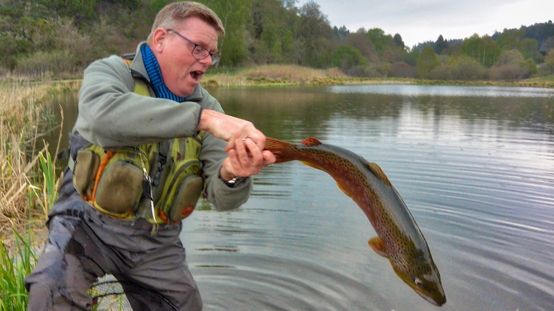 190427 milldam brown trout release