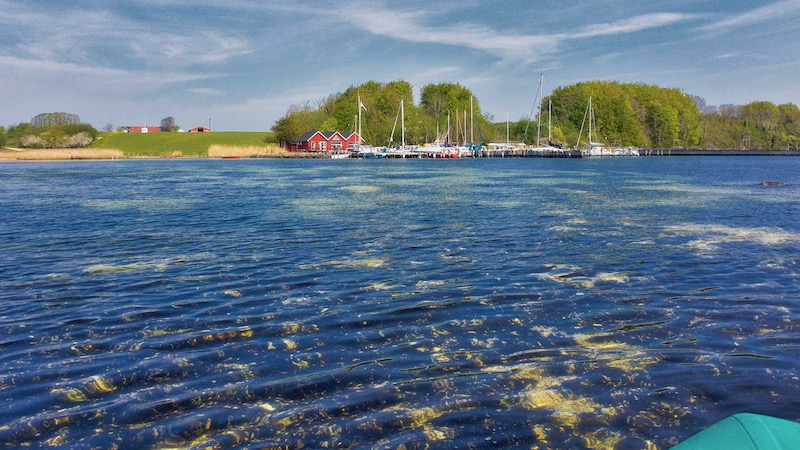 Vive Havn 190430 vive harbor
