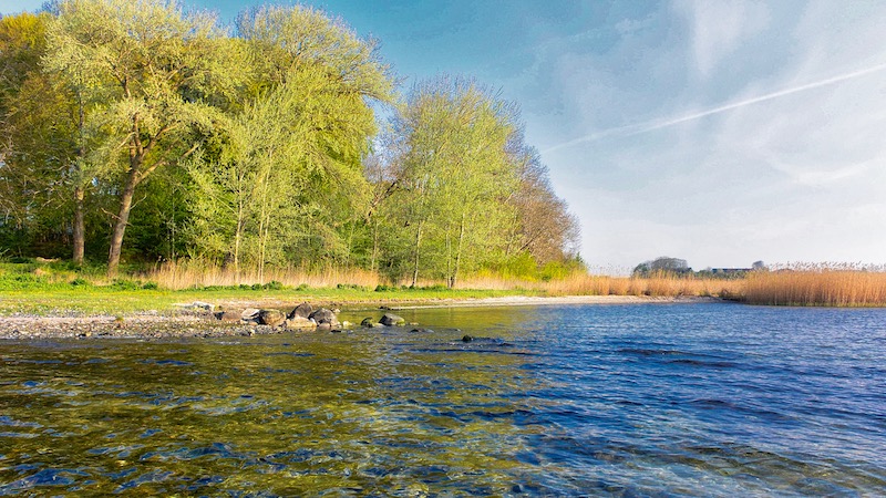 Forår ved 190430 vive spring