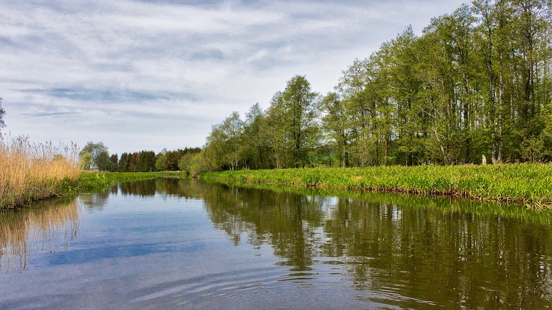Nørreåen 190514 northriver fladbro forrest