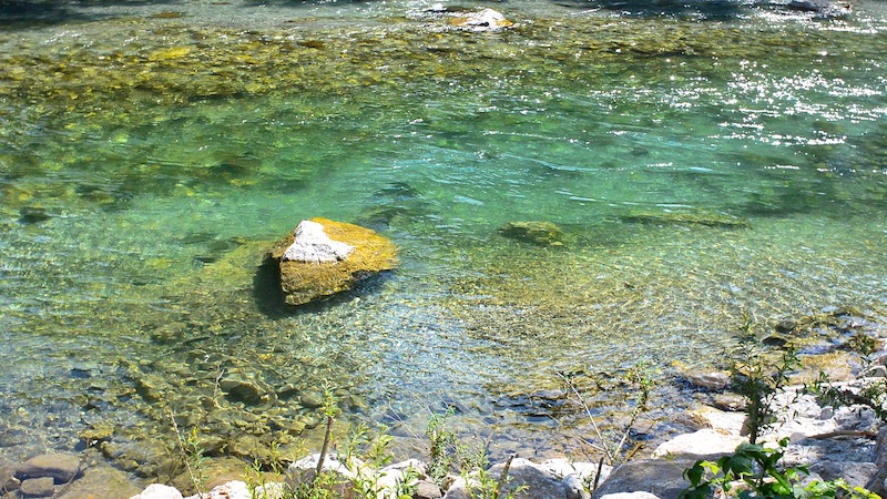 190613 slovenien trout poles