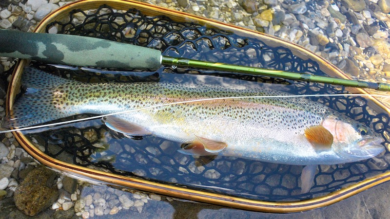 190613 slovenien rainbow
