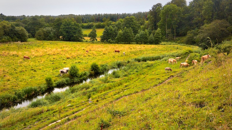 190808 villestrup river valley