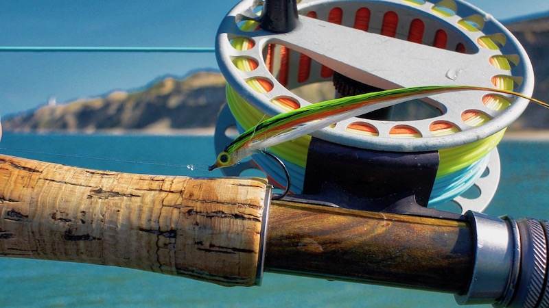 190825 vesterhav flue