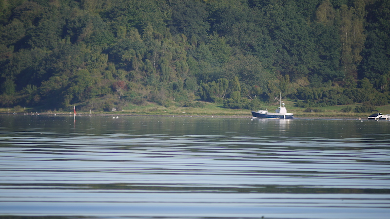 Mariager Fjord 190903 eaglebay boat fighter