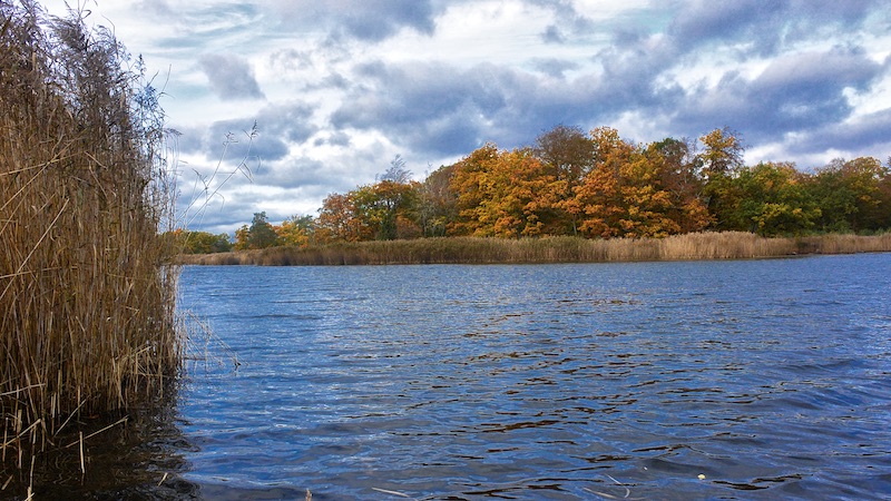 191014 puka efteraar