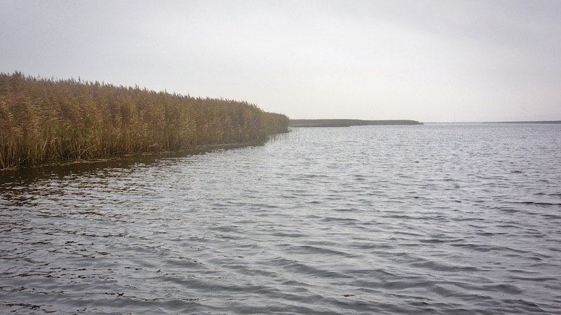 Bredningen 191024 bredning gray day