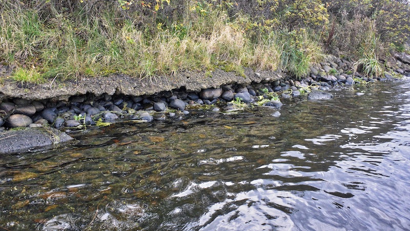 191106 tange low water