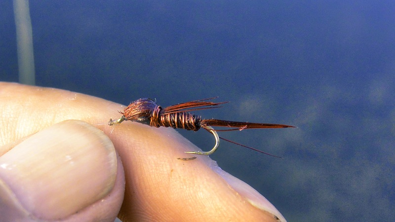Pheasant Tail Variant 191120 milldam nymph