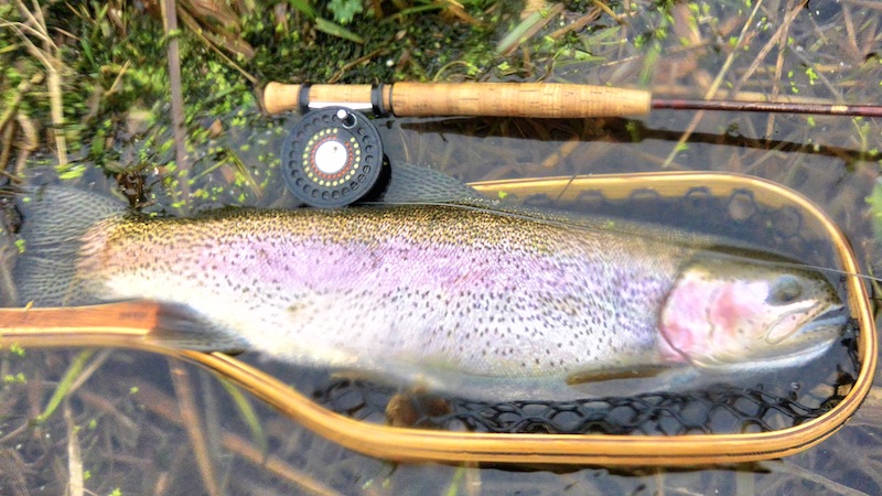 191124 milldam rainbow