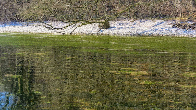 200327 stines minde alger