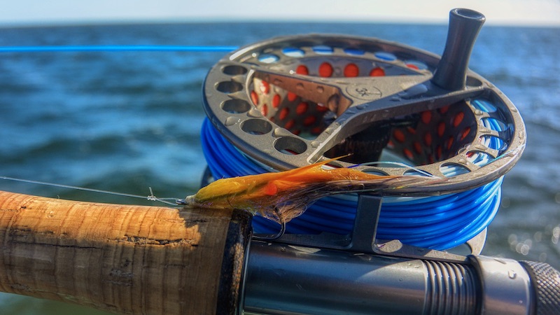 200407 egense brakvandsrejen variant