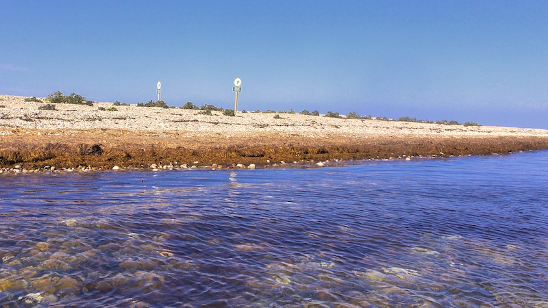 200507 samsoe fuglereservat