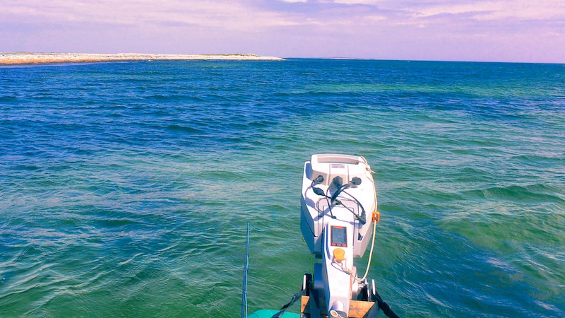 200508 samso besser bund