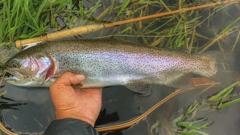 200603 milldam rainbow