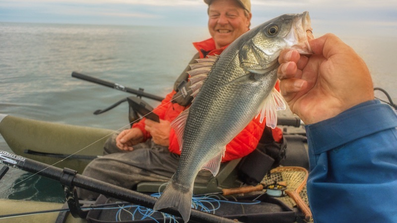 200619 hirtshals bars