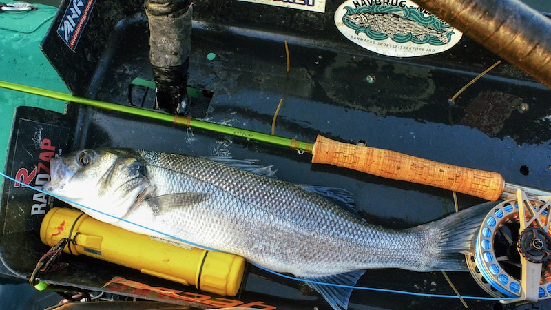 200808 vesterhavet havbars