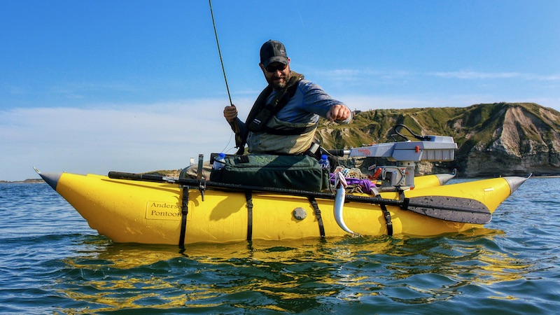 200808 vesterhavet thomassams makrel