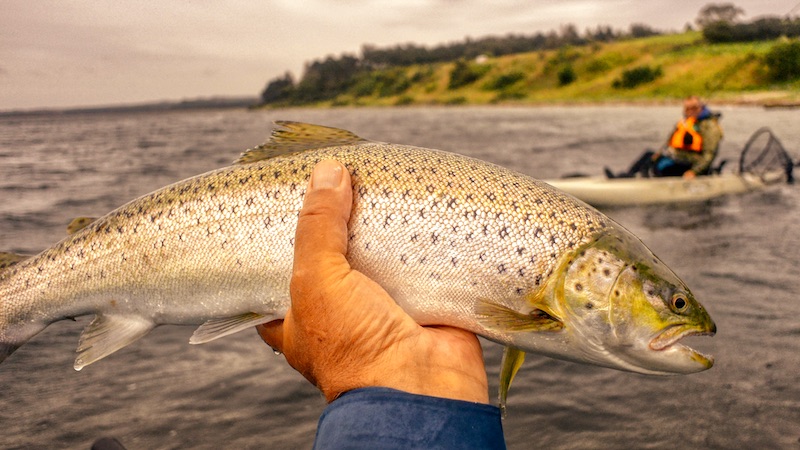 200913 flydemeeting seatrout