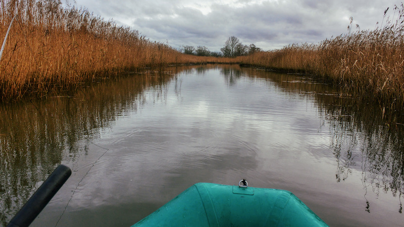 Bagvand i Dronningborg Bredning 201224 Bredningen delta