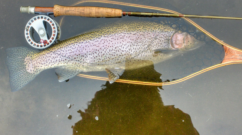 210101 milldam rainbow