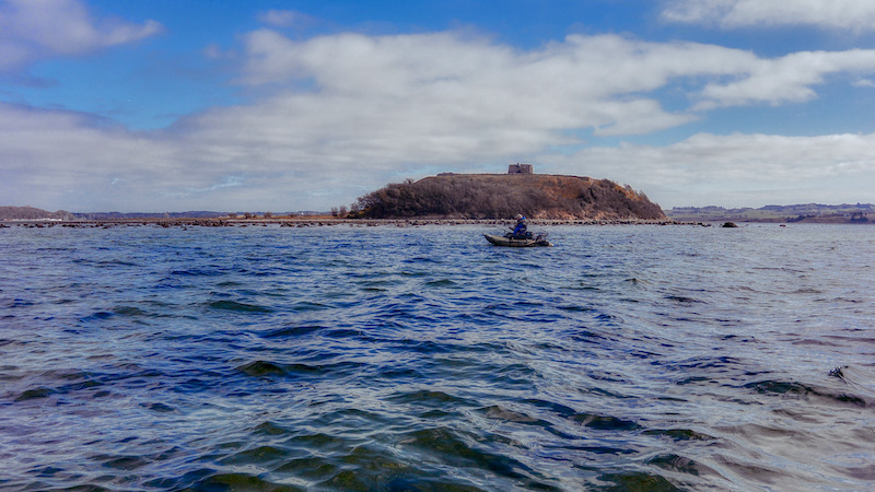 Kalø Slotsruin 210324 Aarhusbugten ruinen