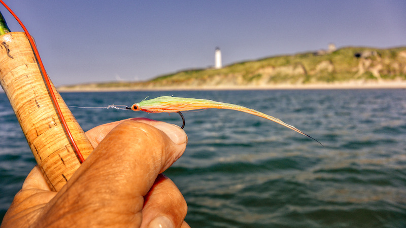 210604 hirtshals flue