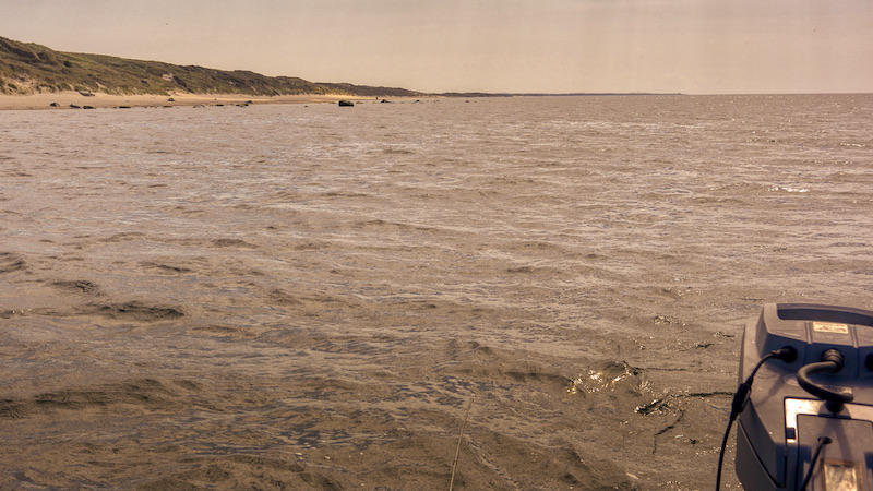 210604 hirtshals stranden