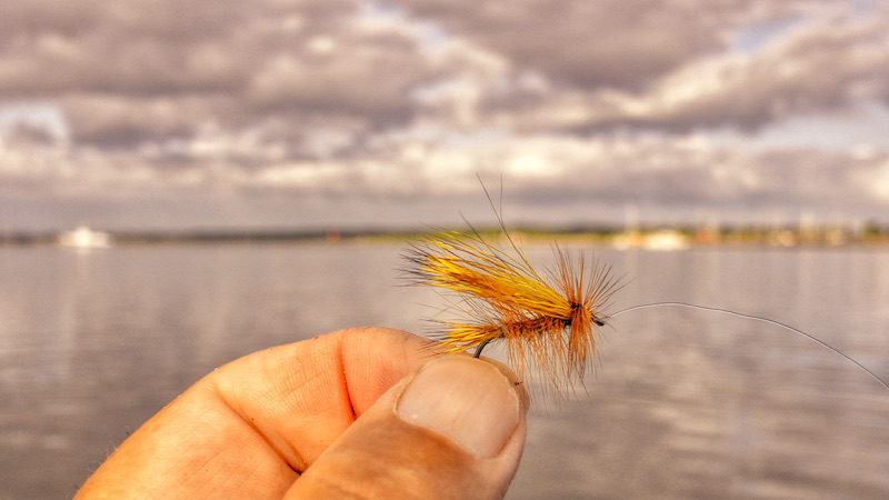 Stimulator 210822 randers fjord dryfly
