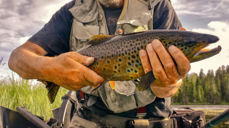 210720 rena trout henrik leth