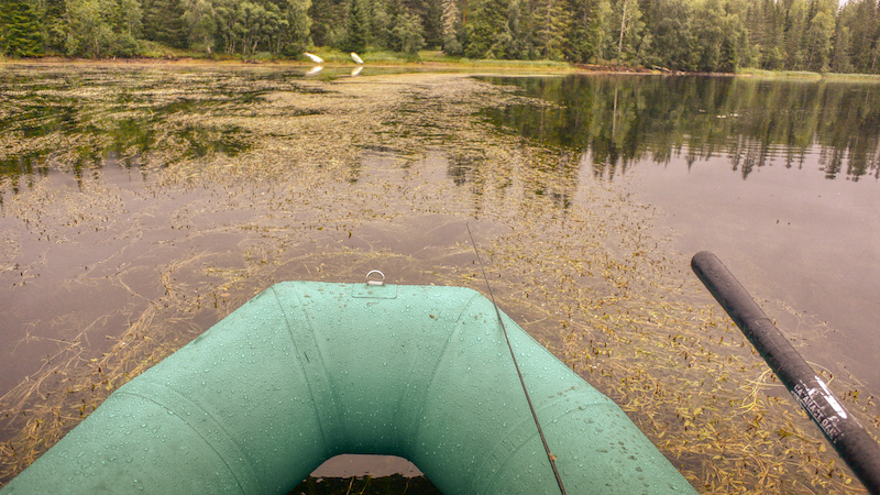 210801 rena weed boat