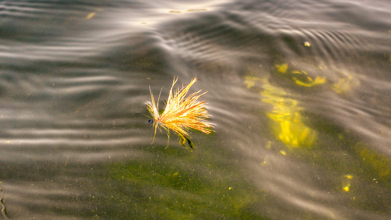 Stimulator 210901 mariager dryfly