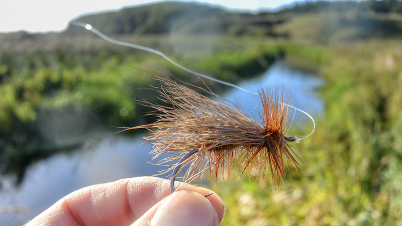 210925 kastbjerg dryfly