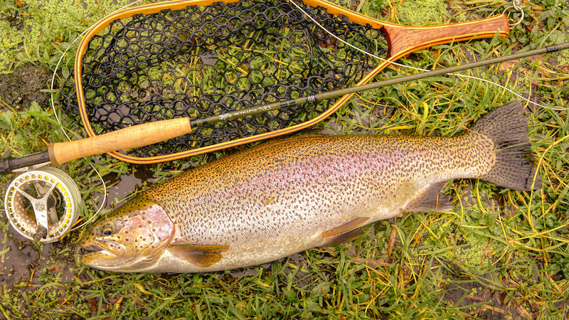 211003 milldam rainbow