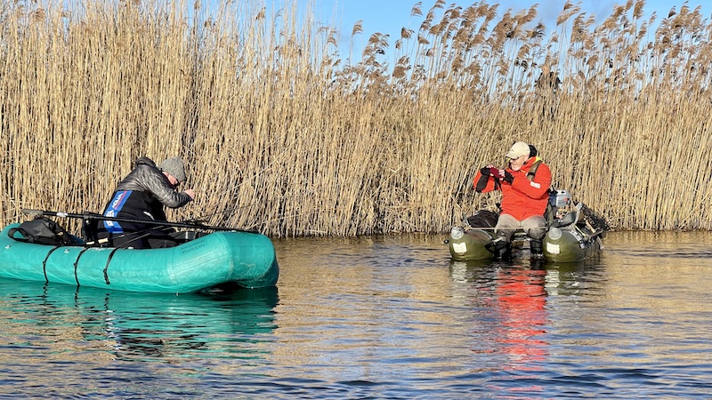 Gudenåen ved Randers 220125 gudenaa kaare gedde