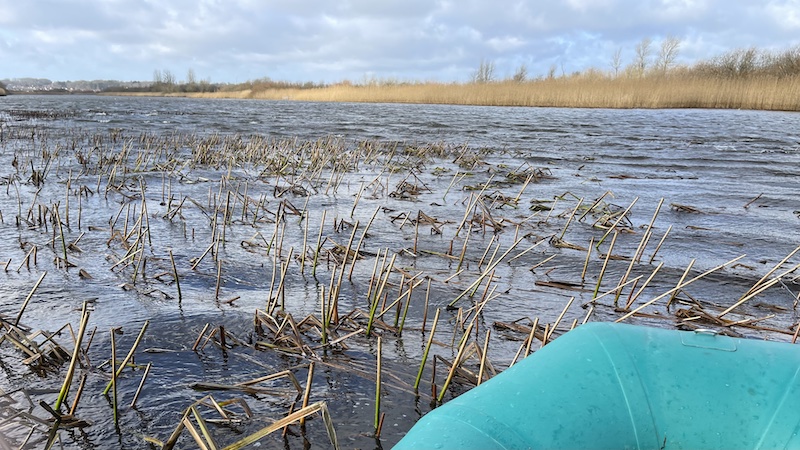 Gudenåen 220208 gudenaa vind
