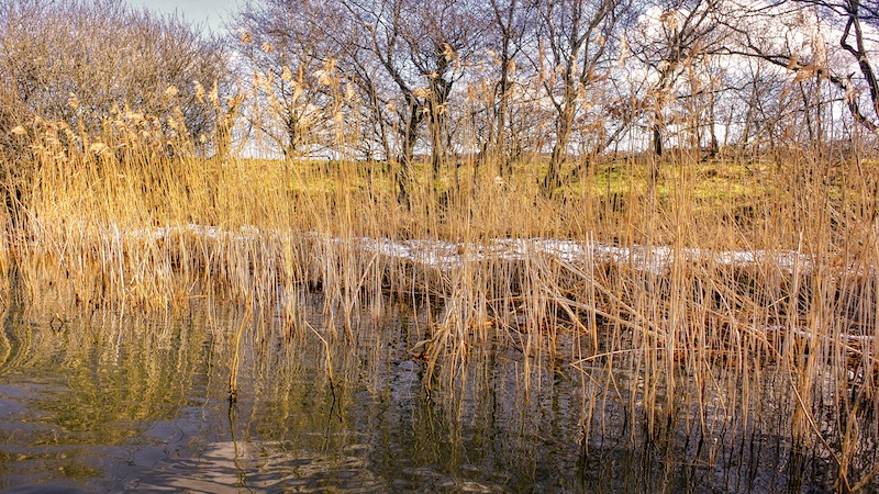 220331 gudenåen sne bred