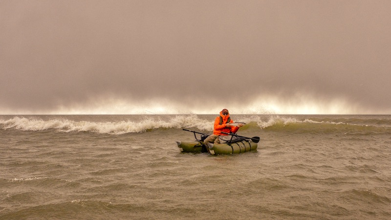 Lars Andersen 220409 sverige skillinge lars fisk