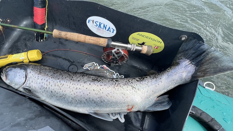 220411 skillinge trout hl