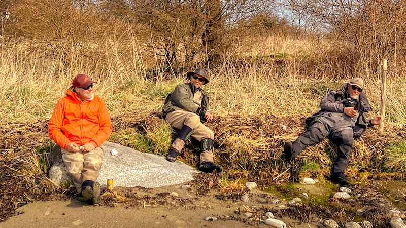 220412 svarte fisker dansk