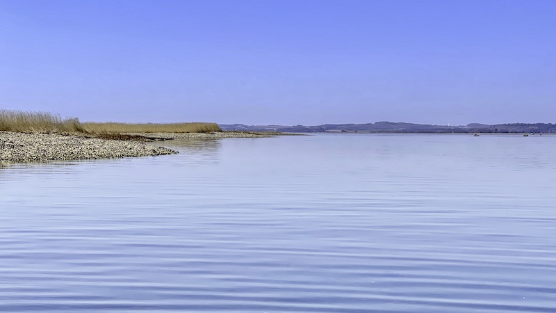 Stenrevet i Randers Fjord 220418 randers fjord stenrev