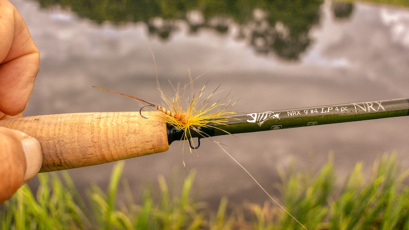 220606 mill lake mayfly