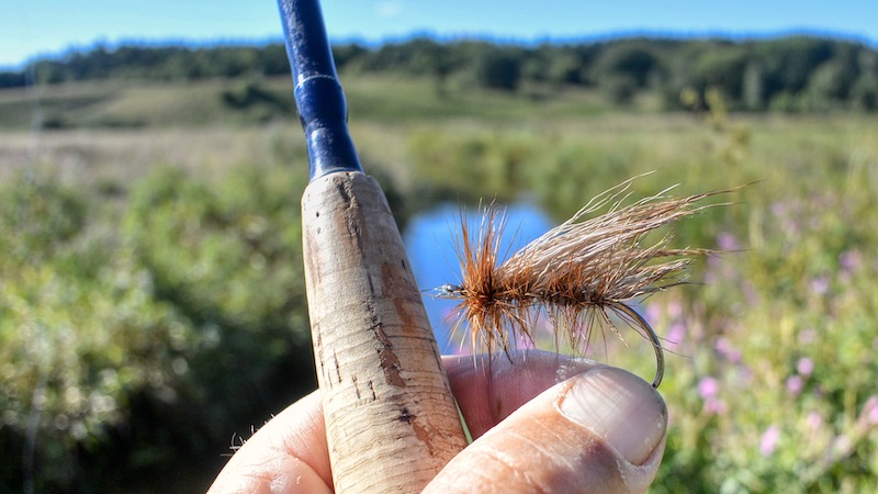 220901 kastbjerg dry fly